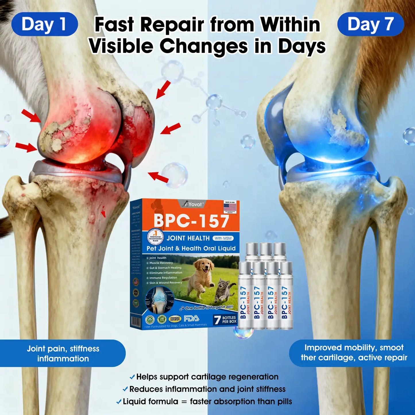 Official US 🇬🇧 Store 🐶🐱Yovot® BPC-157 Advanced Joint & Total Body Health Oral Liquid -(For Dogs, Cats & Mammals. One Bottle Daily, Results in 7 Days)