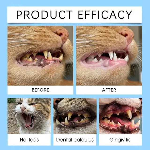 [Official UK Store] 𝐘𝐨𝐯𝐨𝐭® 𝐏𝐞𝐭 𝐃𝐞𝐧𝐭𝐚𝐥 & 𝐃𝐢𝐠𝐞𝐬𝐭𝐢𝐯𝐞 𝐇𝐞𝐚𝐥𝐭𝐡 𝐎𝐫𝐚𝐥 𝐒𝐨𝐥𝐮𝐭𝐢𝐨𝐧 – Freshen Breath, Remove Tartar & Promote gum regeneration, stabilize teeth (for Cats & Dogs)  – Save 70% Today!