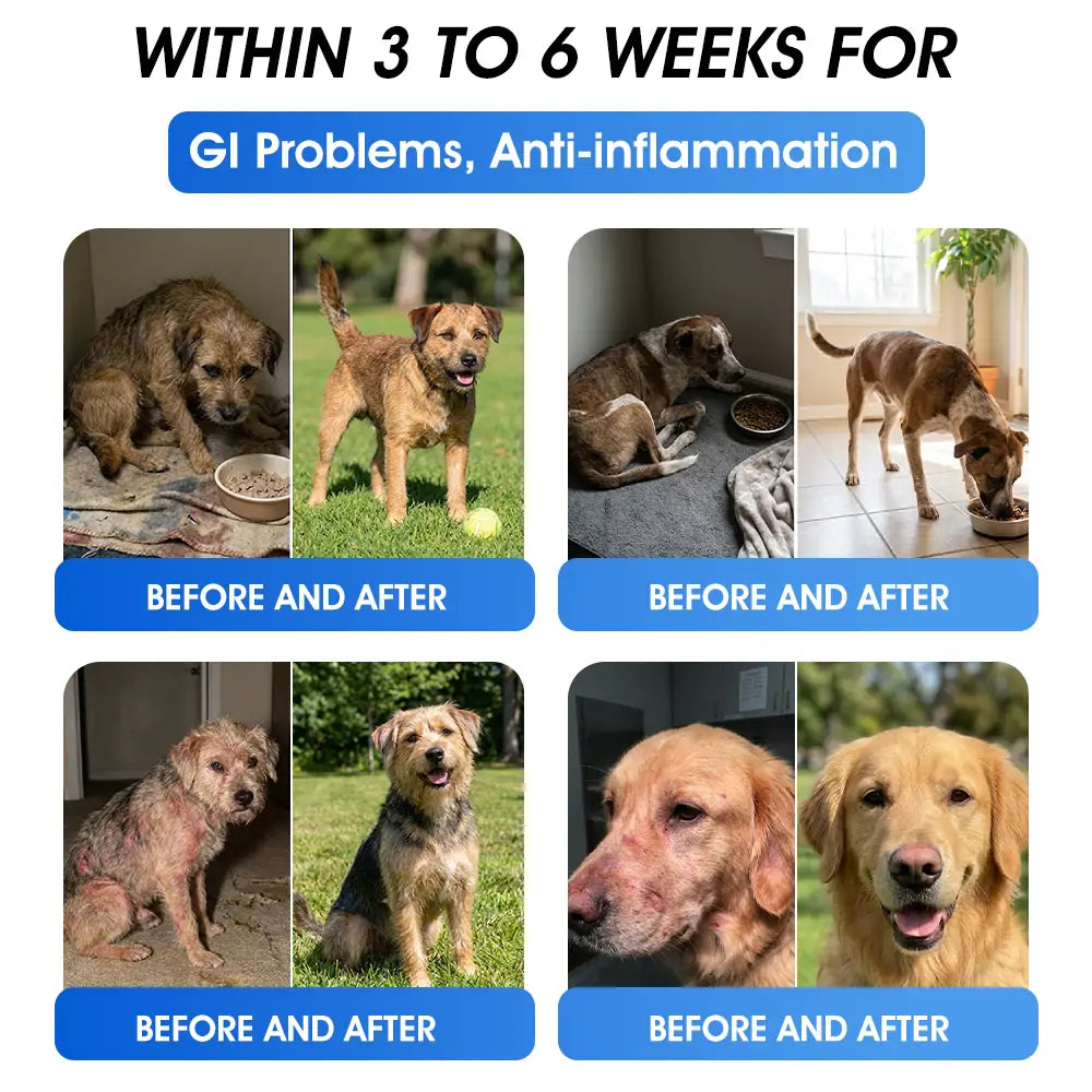 Official US 🇬🇧 Store 🐶🐱Yovot® BPC-157 Advanced Joint & Total Body Health Oral Liquid -(For Dogs, Cats & Mammals. One Bottle Daily, Results in 7 Days)