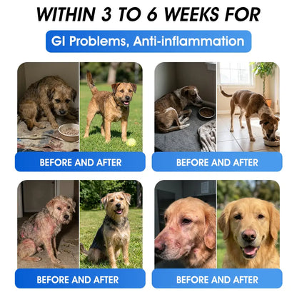 Official US 🇬🇧 Store 🐶🐱Yovot® BPC-157 Advanced Joint & Total Body Health Oral Liquid -(For Dogs, Cats & Mammals. One Bottle Daily, Results in 7 Days)