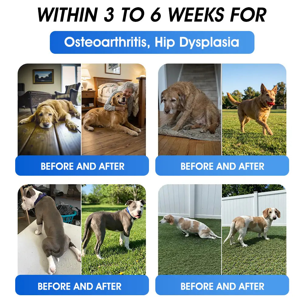 Official US 🇬🇧 Store 🐶🐱Yovot® BPC-157 Advanced Joint & Total Body Health Oral Liquid -(For Dogs, Cats & Mammals. One Bottle Daily, Results in 7 Days)